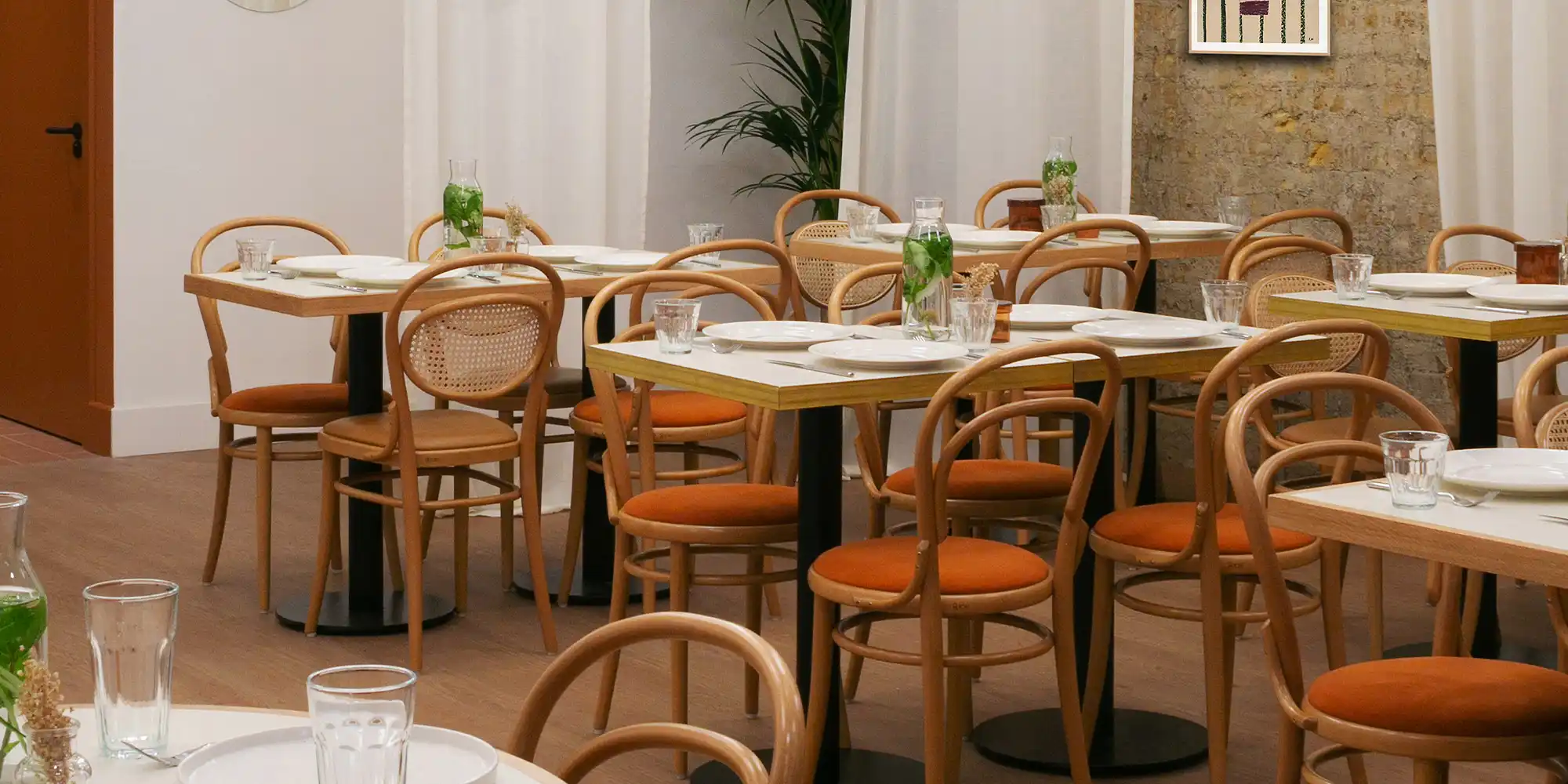 Dining Chairs