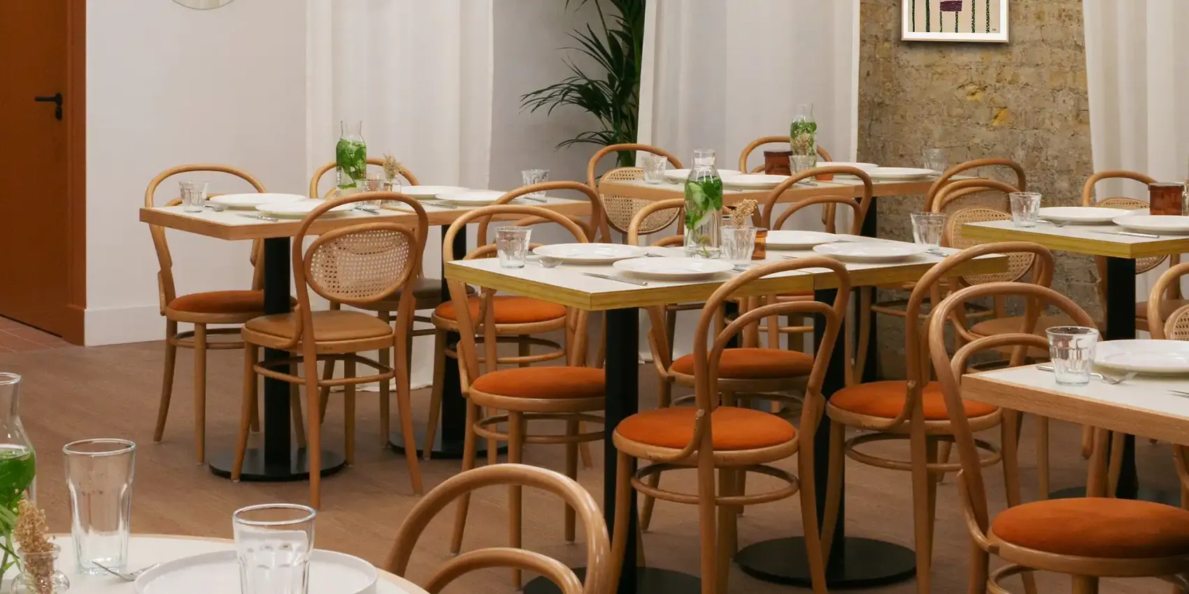 Dining Chairs