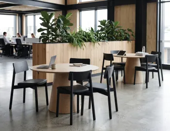 Black Andi Chairs Upholstered Circa 120 Natural