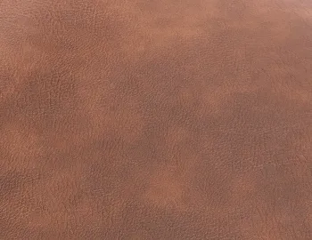 Brown Leather Sample
