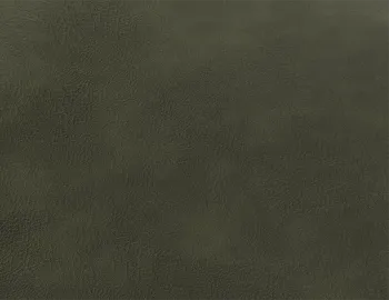Green Leather Sample
