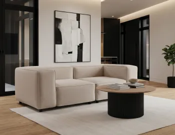 Modern Home With Sofa And Black Coffee Table