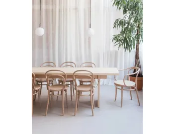 Chair 30 Ton 0008 Layer