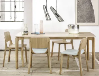 Leaf Chair Upholstered Insitu