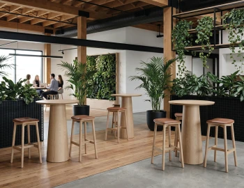 Circa And Andi Natural Workplace