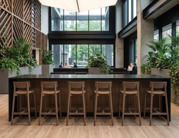 Walnut Bar Stool In Office