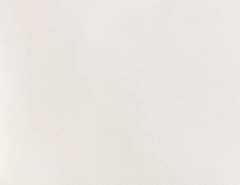 White Leather Sample