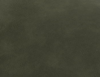 Green Vintage Vegan Leather