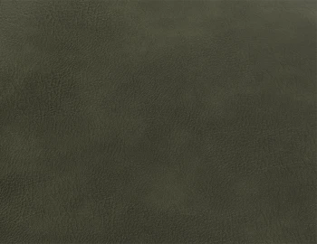 Green Leather Sample