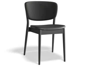 Valencia Chair Backseatpad Blackgrain Mdr