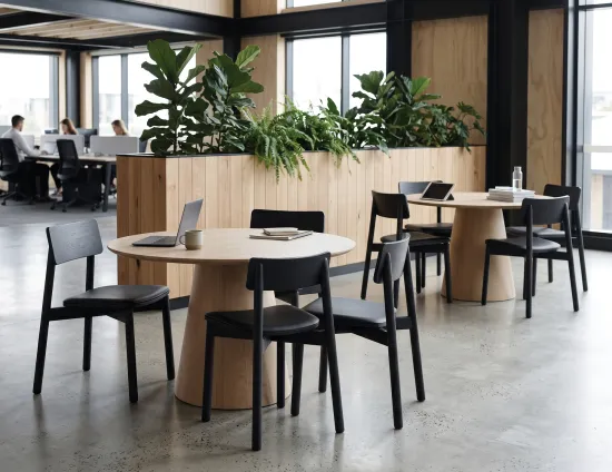 Black Andi Chairs Upholstered Circa 120 Natural