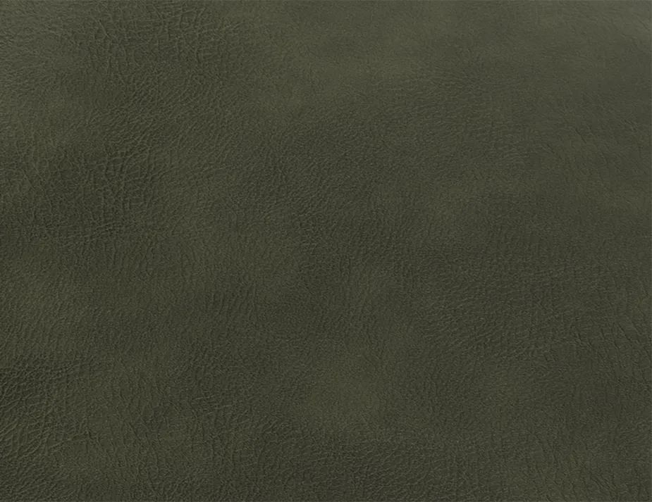 Green Leather Sample