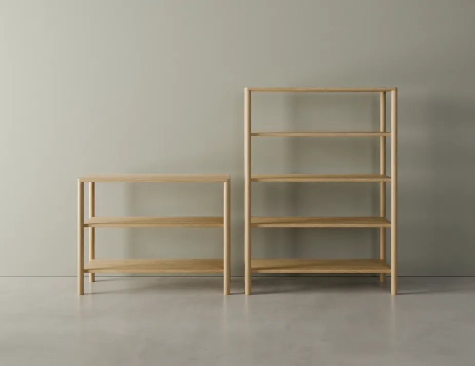 Nordica Bookshelves Conceptual