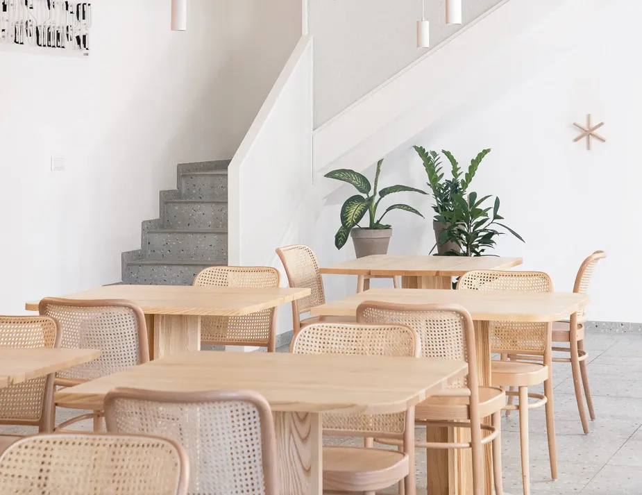 811 Chair Cane Back Veneer Seat Insitu