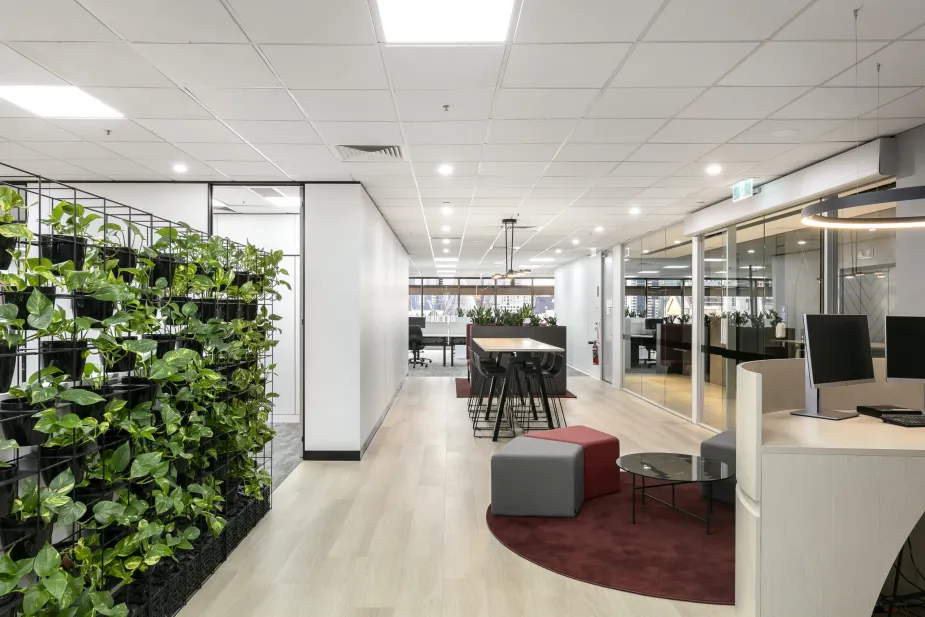 Open office layout with a plant wall divider, communal table with black chairs, and a reception desk, under bright ceiling lights.