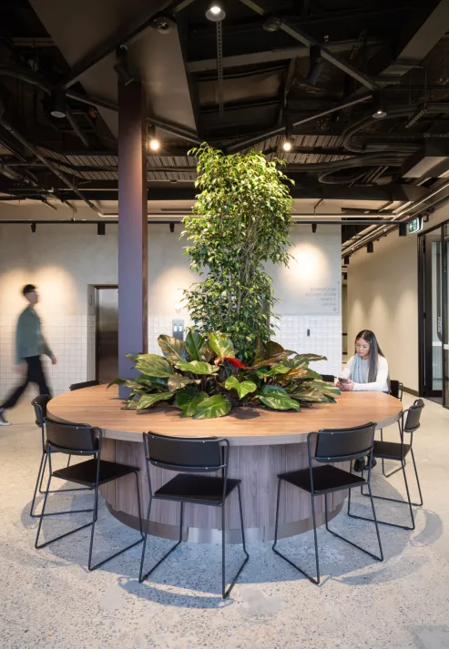 Modern office circular table.