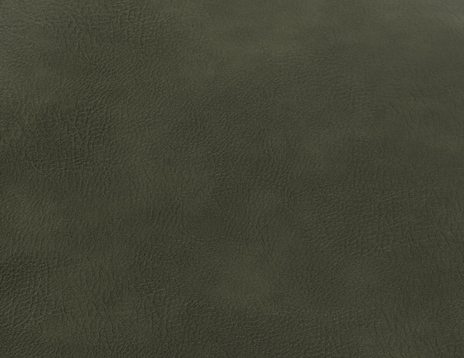 Green Leather Sample