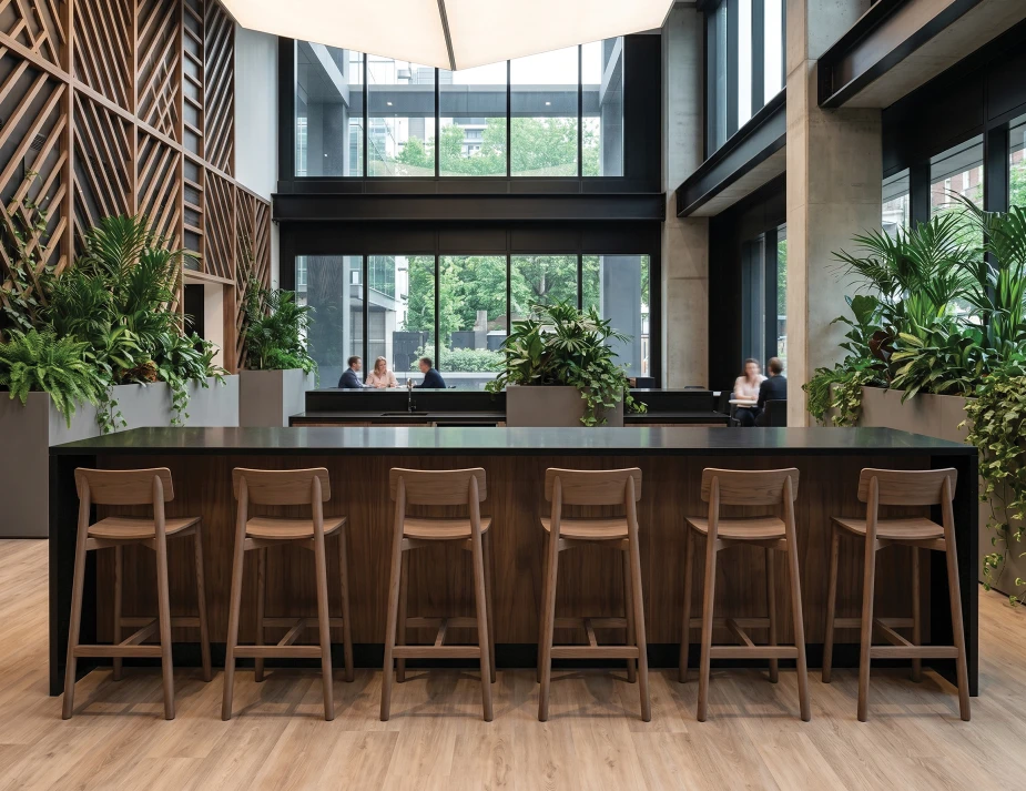 Walnut Bar Stool In Office