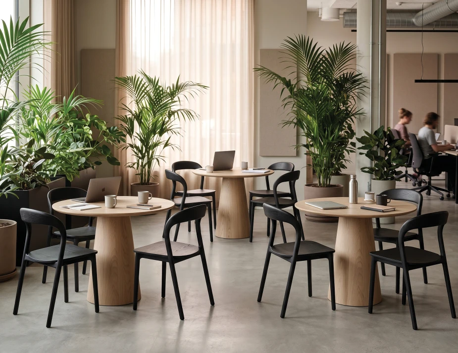 Mia Black Circa Table 850natural
