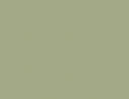 Light Green Colour Swatch