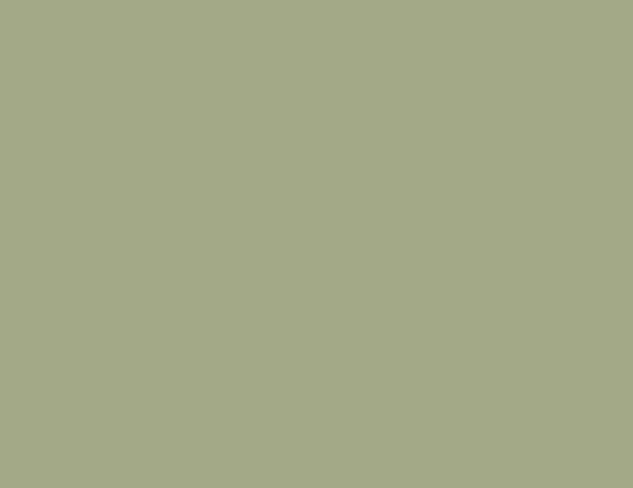 Light Green Colour Swatch