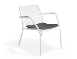 Chair with Granite Grey Cushion