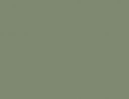 Matt Eucalyptus Green