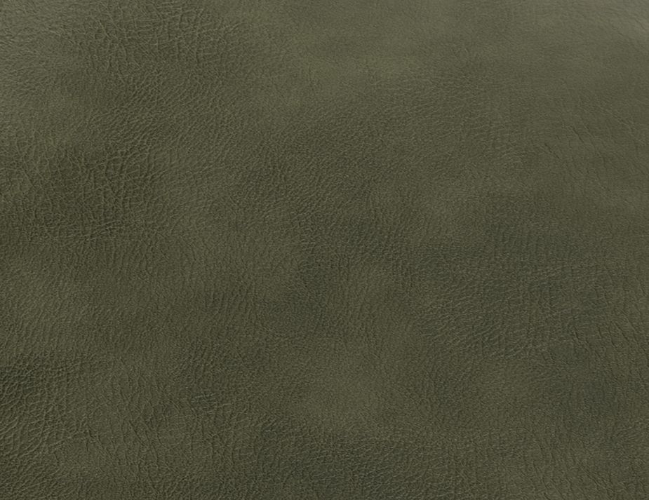 Green Leather Sample