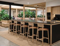 Bar Stool On Rug Workplace