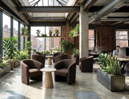Cove Cacao Office