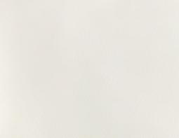 White Vegan Leather1