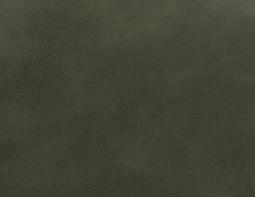 Green Vintage Vegan Leather