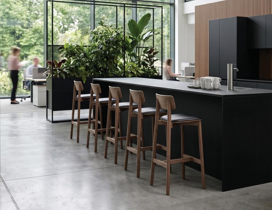 Bar Stool Walnut In Workplace
