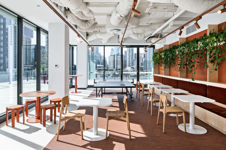 Project - TMX Office