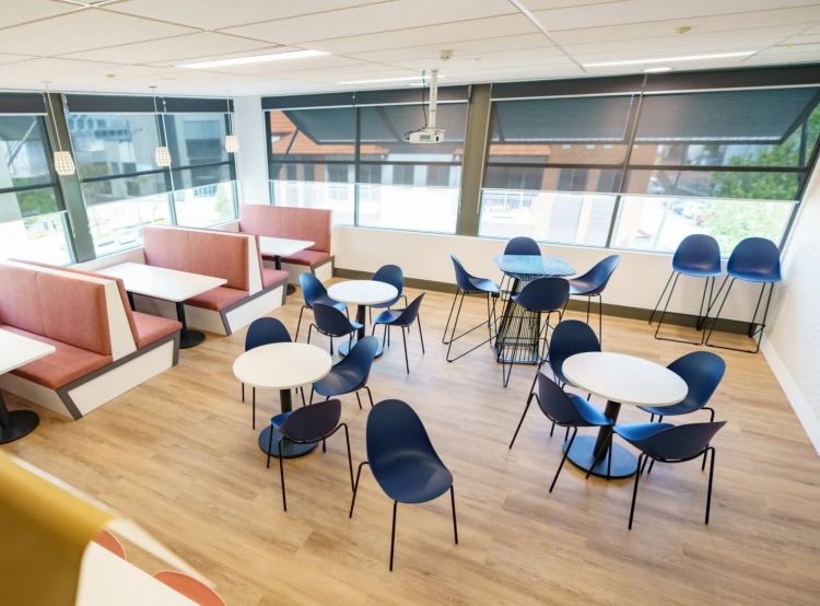 Spacious office break area with round tables, blue chairs, and coral booths by large windows