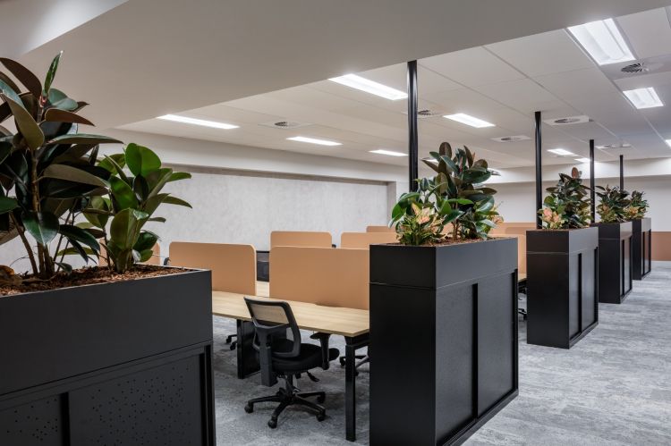 150 Lonsdale, L10 Spec Suites