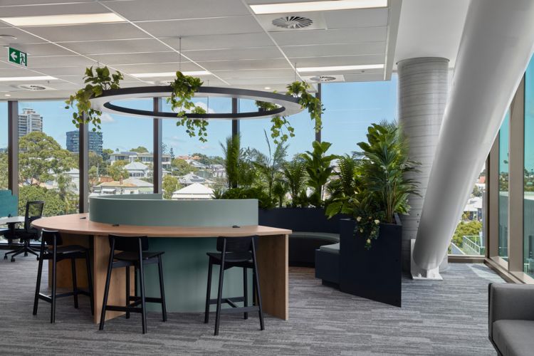 Project - Mobo Brisbane – Level 5