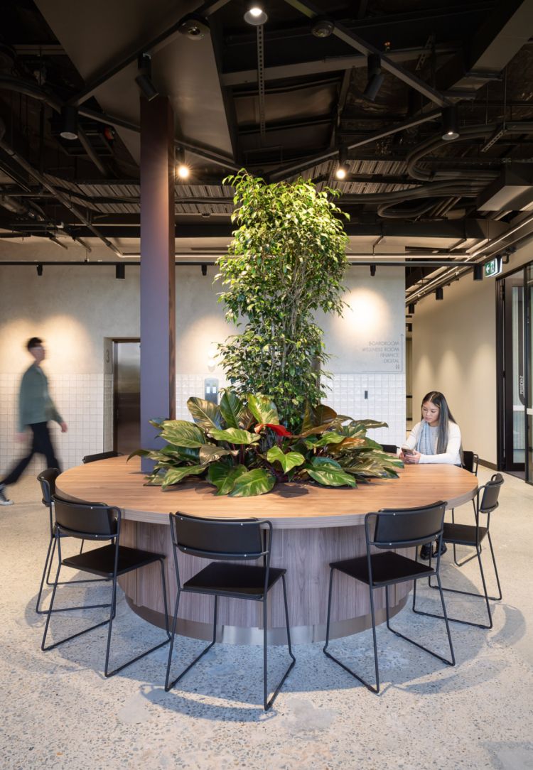 Modern office circular table.
