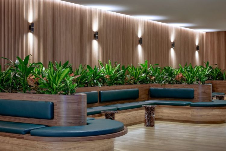 Lush indoor clinic lounge.