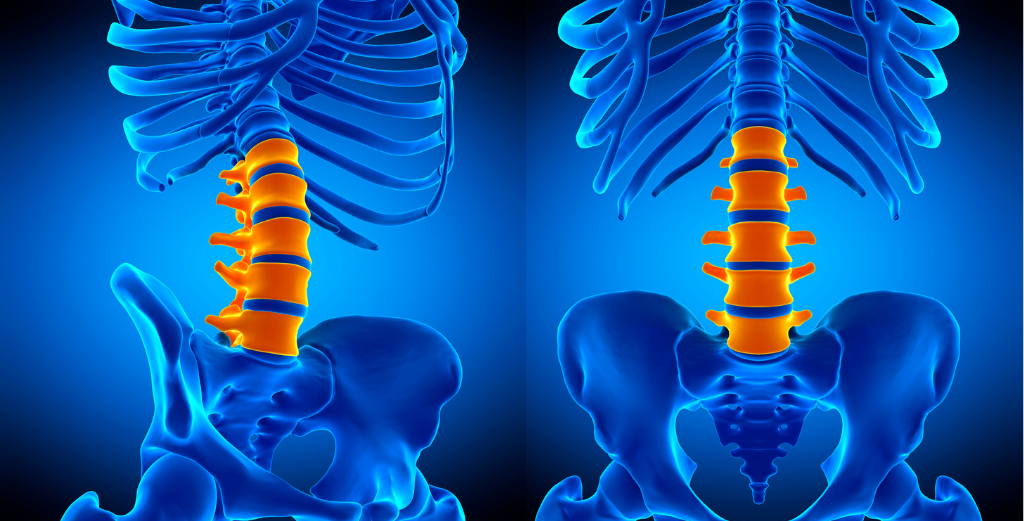 Lumbar Support Essential Guide for Enhanced Comfort